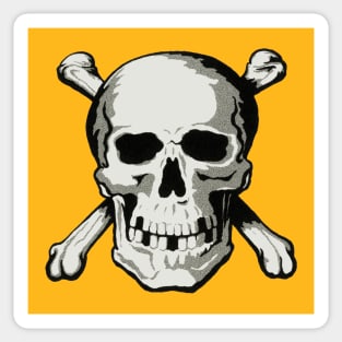 Skull Sticker